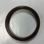 Indian 5415433 / 5416059 Access Hole Seal OEM Replacement