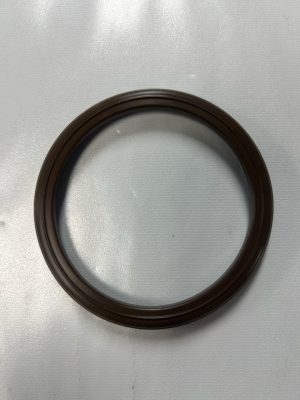 Indian 5415433 / 5416059 Access Hole Seal OEM Replacement