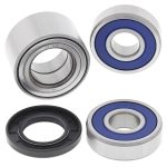 ALL BALLS INDIAN REAR WHEEL BEARING KIT