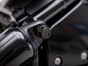 Make: Indian Model: Sport Chief Year: 2024, 2023 Remarks: Black, Billet Aluminum, 4 caps Country of Manufacture: Germany Rear Shock Mounting Caps, billet aluminum